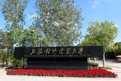 上海對外經(jīng)貿(mào)大學(xué)2018工商管理MBA調(diào)劑申請通知
