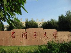 2019石河子大學MBA雙證VIP調(diào)劑簡章